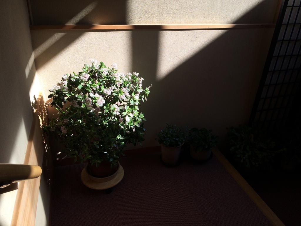 Hotel Yudanaka Onsen Yamazakiya Yamanouchi  Esterno foto