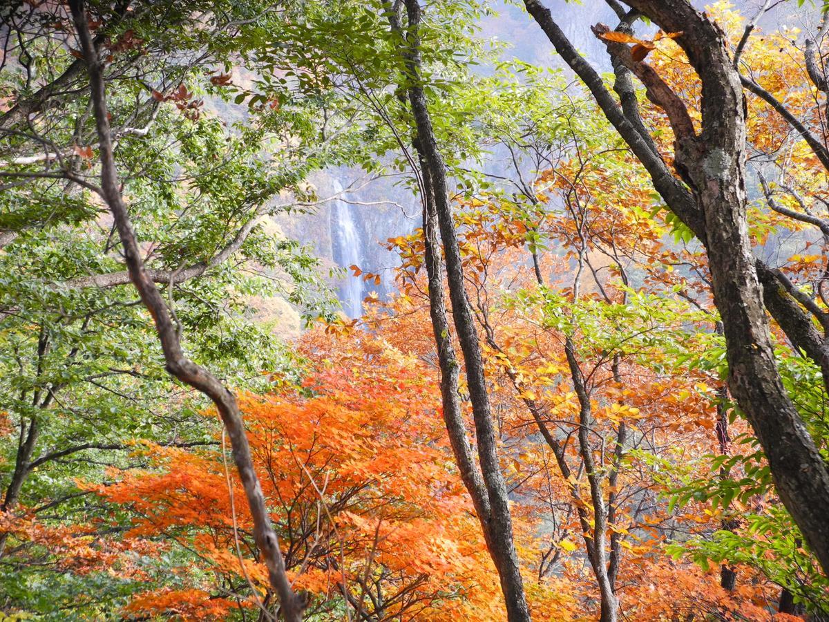 Hotel Yudanaka Onsen Yamazakiya Yamanouchi  Esterno foto